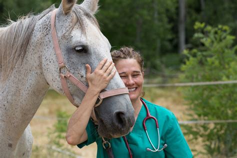 Equine Research UC Davis 2021