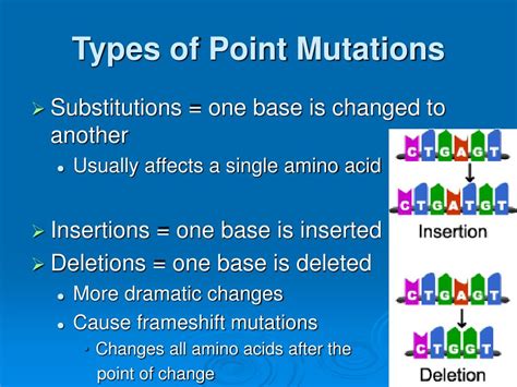 Ppt 12 4 Mutations Powerpoint Presentation Free Download Id631749