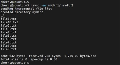 How To Use Rsync On Linux To Synchronize Local And Remote Directories