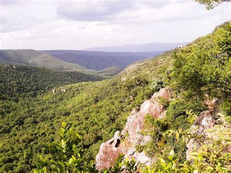 Sri Venkateswara National Park Tourism (Tirupati) (2025) - A Complete ...