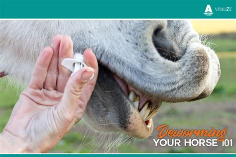 How Much Does Deworming A Horse Cost At Edward Howard Blog