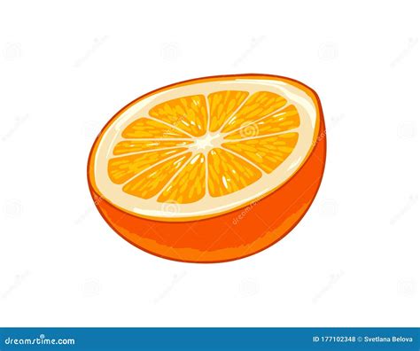 Naranja Fresco Icono Del Vector De Dibujos Animados Aislado En Blanco