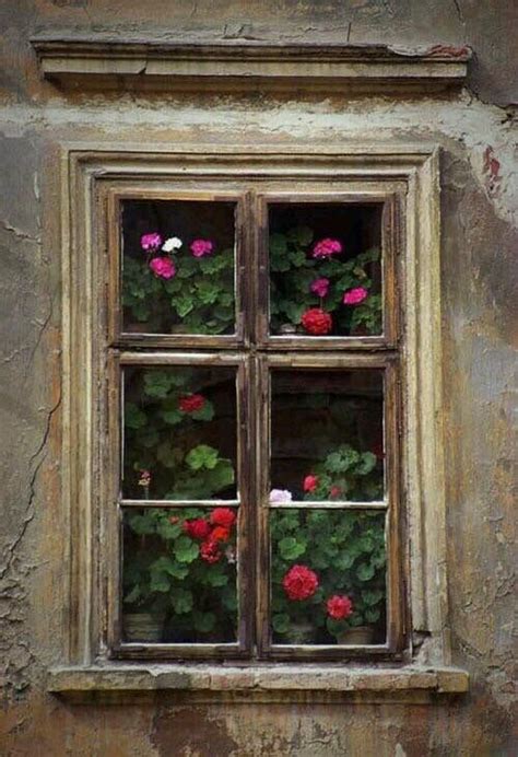 Pin By Maria Rodoreda Peix On Portes Finestres I Balcons Geraniums