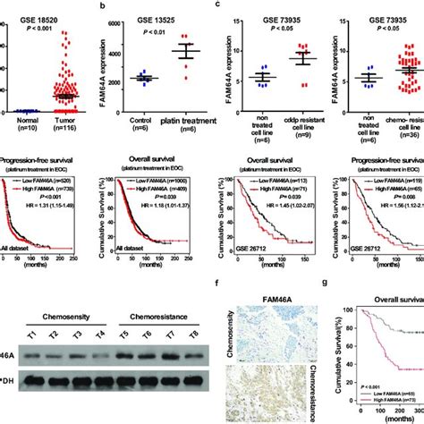 Overexpression Of Fam46a Correlates With Ovarian Cancer Progression And