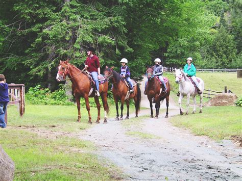 Activities | Timberlock