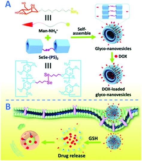 Schematic Representation Of A The Construction Of Supramolecular