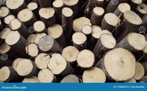 Wood Large Piles Of Cut Tree Trunks Round Logs Big Felled Chopped