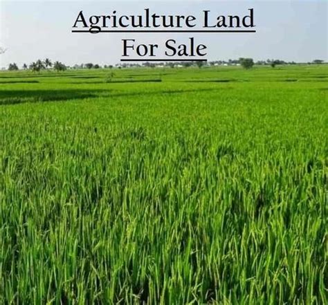 Agriculture Land For Sale In Ghaziabad Id