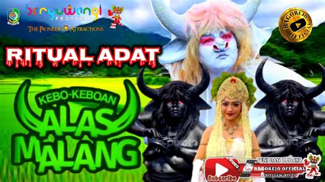 Live Kebo Keboan Alas Malang Youtube