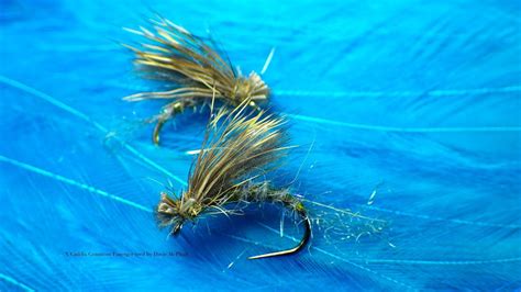 Tying A Grannom X Caddis Emerger By Davie Mcphail Youtube