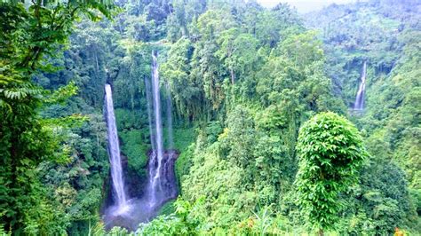 Paket Wisata Air Terjun Sekumpul Sewa Mobil Cosmo Bali Tour