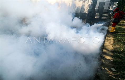 Pengasapan Antisipasi Wabah Dbd Antara Foto