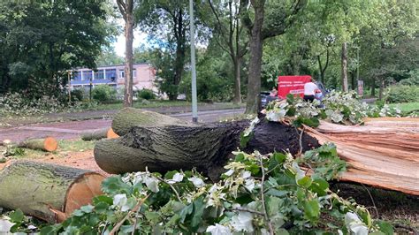 Unwetter in Duisburg Bäume drohen auf Häuser zu stürzen