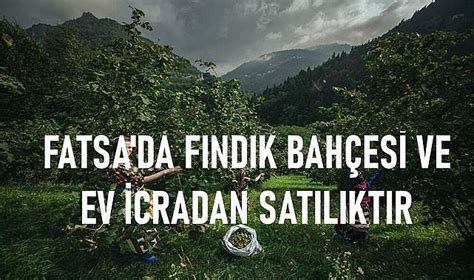 Fatsa Da F Nd K Bah Esi Ve Ev Icradan Sat L K G Ndem Ordu Gazete