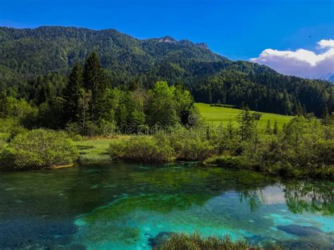 Kranjska Gora Zelenci Park Lake Zelenci In Slovenia During Spring