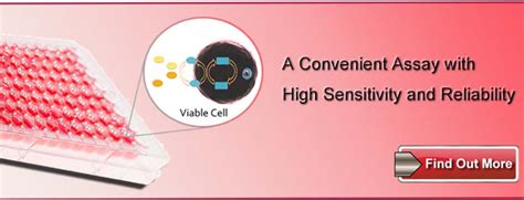 Cell Counting Kit 8 Cck 8