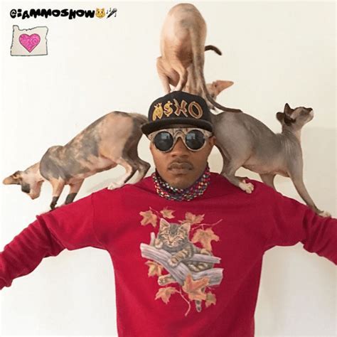 Meet Moshow The Cat Rapper - iHeartCats.com