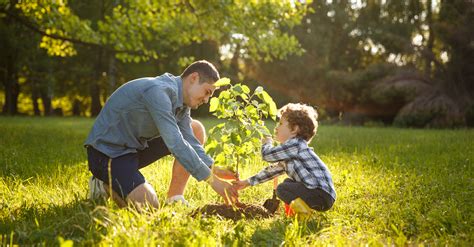 What Does It Mean To Be A Good Steward