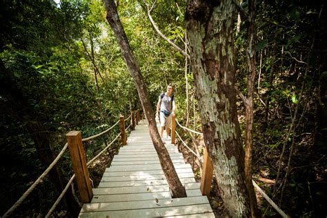 Jungle Trekking - THAI SEAPLANE