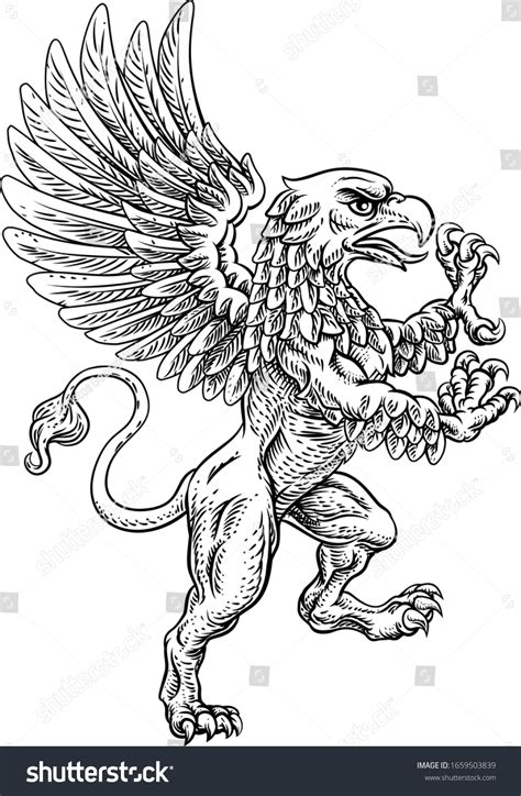 17,787 Griffin Images, Stock Photos & Vectors | Shutterstock