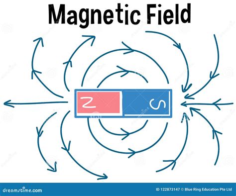 Magnetic Field And Magnetic Field Lines Stock Vector Illustration Of