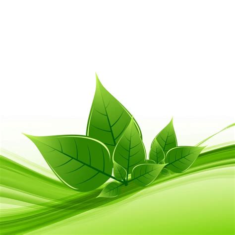 Green Leaf Background Vector at GetDrawings | Free download