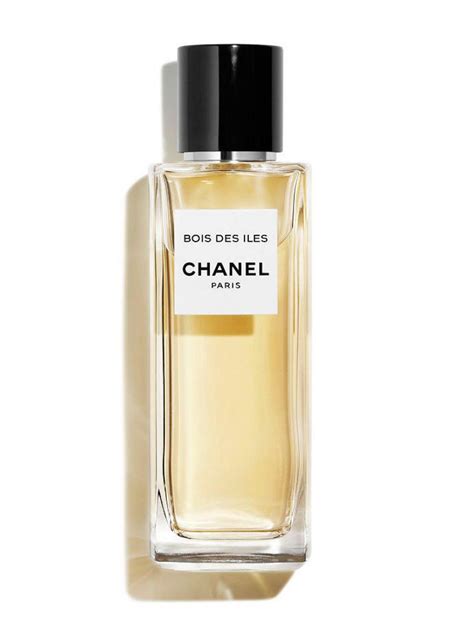 History of Chanel Perfume: Everything you need to know about the maison ...