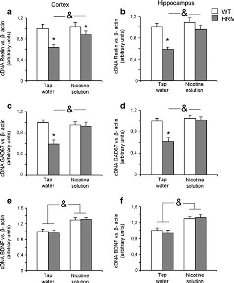 Real Time Pcr Analysis Of Reelin Reelin Mrna Expression In Cortex A