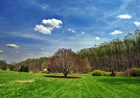 Spring Landscape Royalty Free Stock Images Image 388689