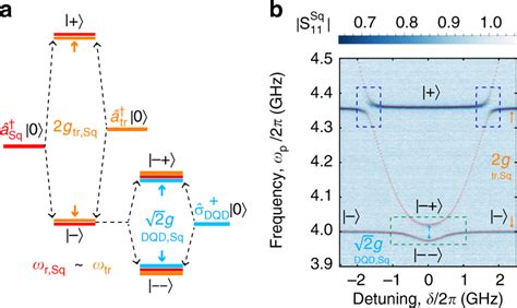 Resonant Interaction Between The Dqd Charge Qubit The Squid Array