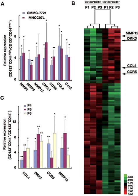 The Critical Role Of Cd133cd44high Tumor Cells In Hematogenous