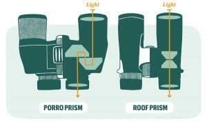 Porro Prism vs Roof Prism: What's The Difference? - Birdwatching Buzz