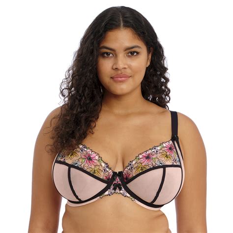 Soutien Gorge Plongeant Rose Suisses