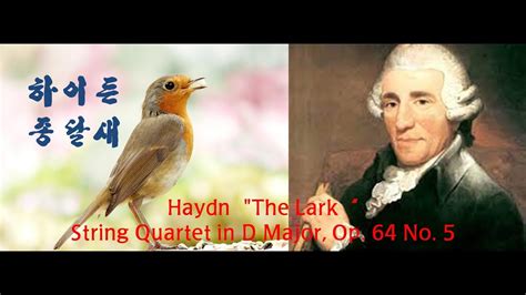 Haydn String Quartet In D Major Op No