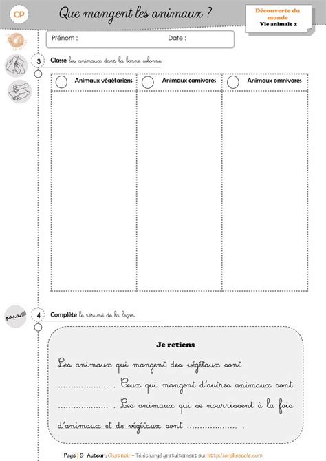 Pdf Vivant Ou Non Vivant Cycle Orph Ecole Vivant Ou Non