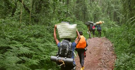 Kilimanjaro Trek Via Machame Route Getyourguide