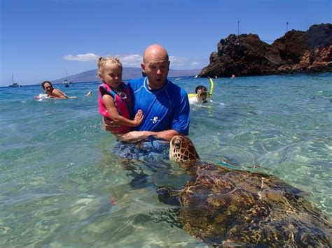 The Best Place To Park For Snorkeling At Black Rock On Maui DesertDivers