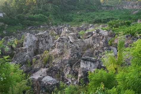 Nauru stock image. Image of remote, phosphate, stress - 74138681