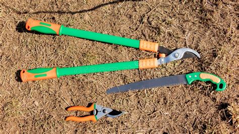 Tools for Pruning Trees and Bushes, a Saw, Large and Small Scissors, in ...