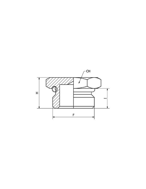 As Or E Bouchon Pans Mle Cylindrique Bspp Mtrique Avec O Ring