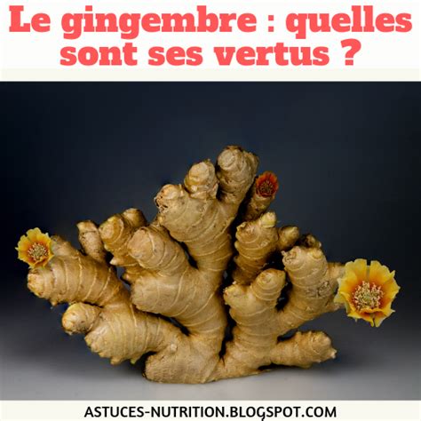 Gingembre effets bénéfiques sur la santé Astuces Nutrition