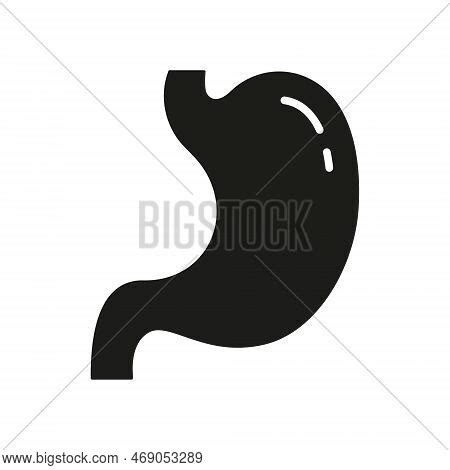 Health Digestive Vector Photo Free Trial Bigstock