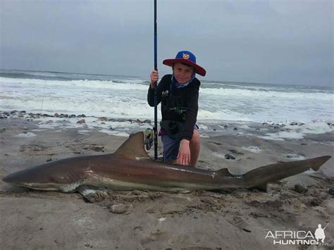 Bronze Whaler Shark Fishing Namibia | AfricaHunting.com