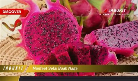 Temukan Manfaat Selai Buah Naga Yang Wajib Kamu Intip Discover