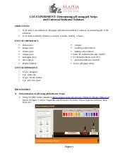 Determining-pH-using-pH-Strips-and-Universal-Indicator-Solution.doc ...