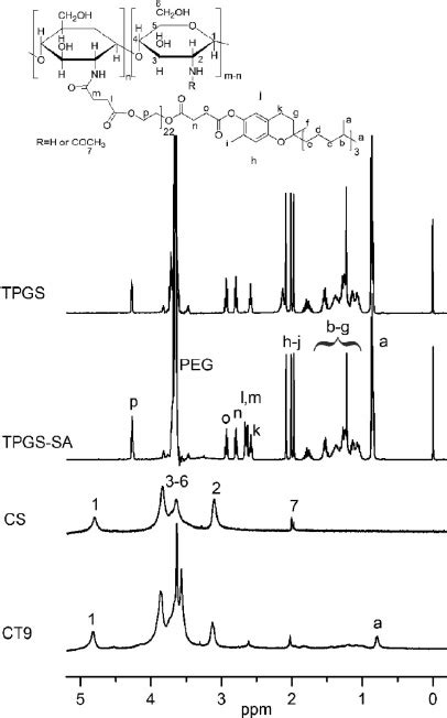 In Vitro Drug Release Behaviors Of DOX Loaded NPs Under PH 7 4 Solid