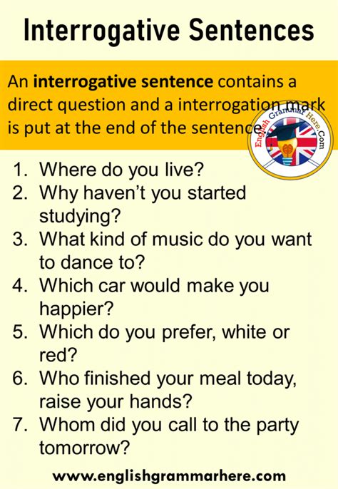 Interrogative Sentences Exercises For Class 4