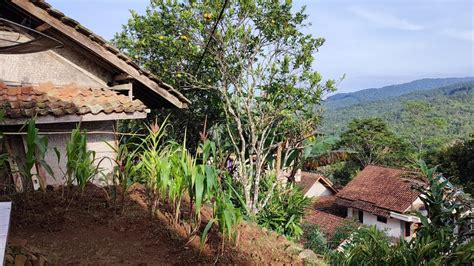 NGeri Ngeri Sedap Berkunjung Ke Kampung Indah SURIAN Di Lereng Bukit