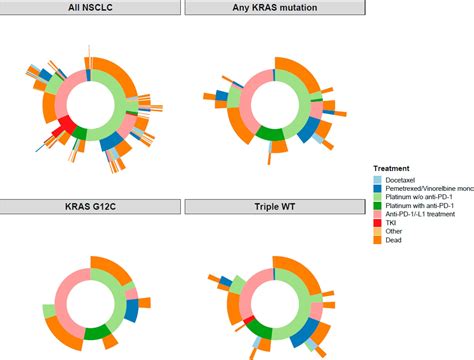 Kras G12c Mutated Advanced Non Small Cell Lung Cancer Nsclc Characteristics Treatment