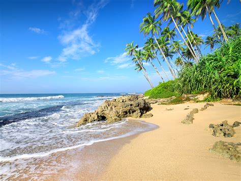 Fonds d ecran 1600x1200 Côte Mer Tropique Ciel Arecaceae Plage Nature